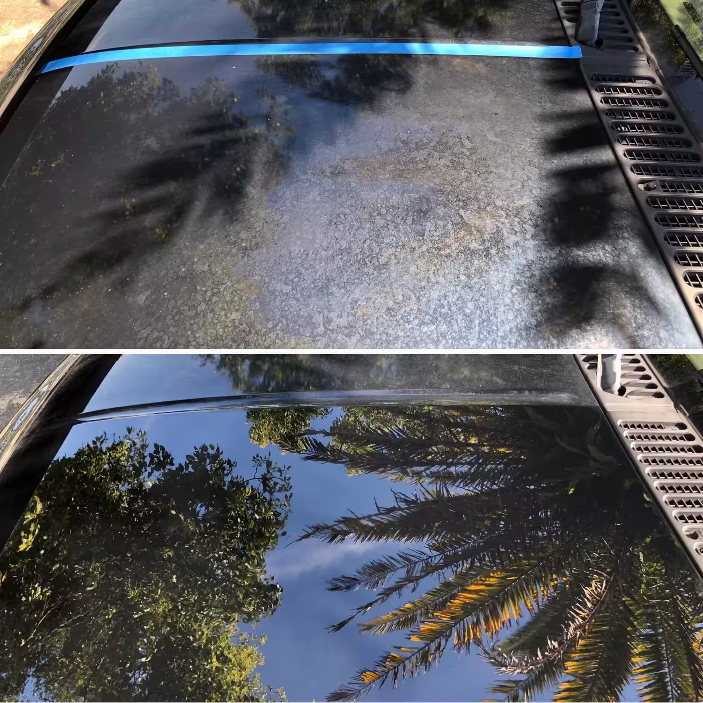 50/50 transformation — Paint Correction